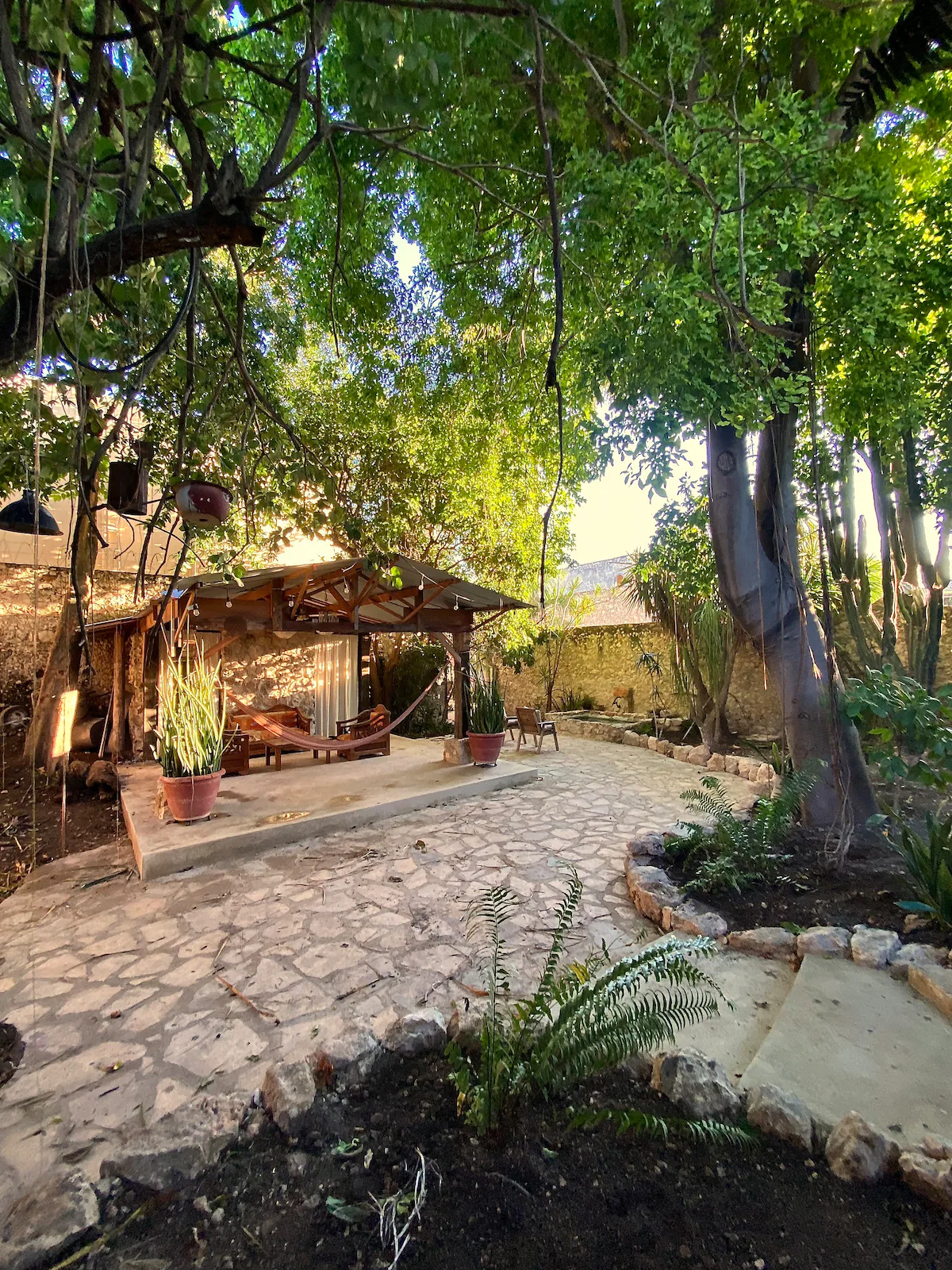 The Mérida Gallery House Backyard Image 1