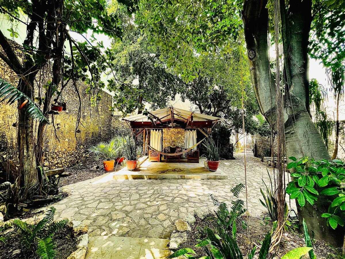 The Mérida Gallery House Backyard Image 4